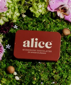 alice mushroom chocolate